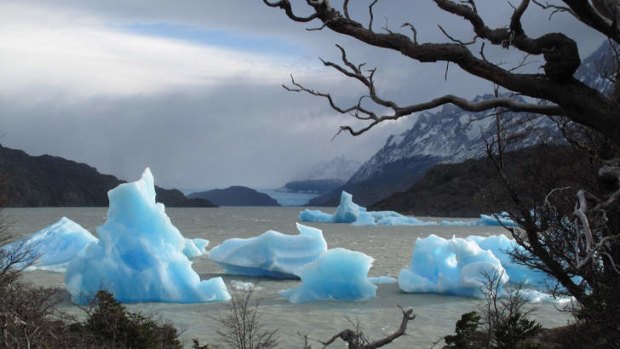 Icebergs in a Patagonian glacial lake.