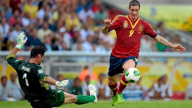 Fernando Torres scored four goals for Spain.