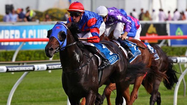 Dominant: Pierro in the Sires' Produce Stakes at Randwick.