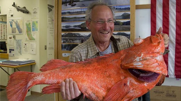 Henry Liebman with the shortraker rockfish that has been estimated at up to 200 years old.