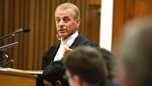 State prosecutor Gerrie Nel questions a witness.