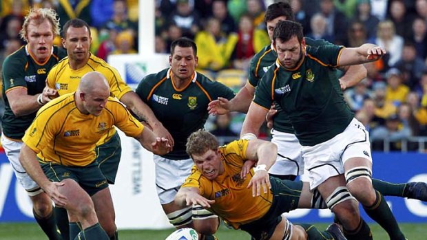 Star performer ... David Pocock, centre, fights for the ball against South Africa during his supreme performance in the World Cup quarter-final.