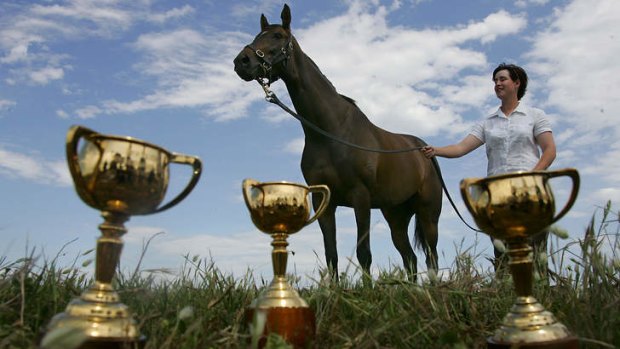 Big shoes to fill: Makybe Diva with the three Melbourne Cups she won between 2003 and 2005.