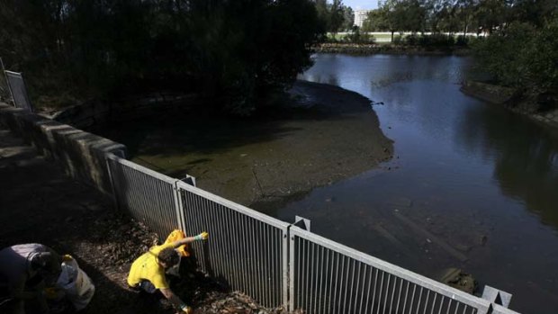 Researchers at the University of NSW found raw sewage and household pharmaceuticals in the Cooks River.