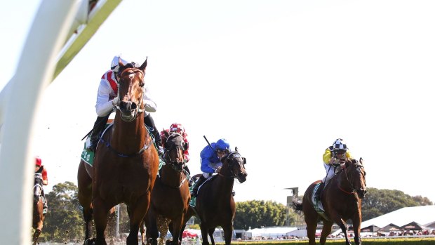 Too strong: The highly touted Deep Field scores at Randwick.