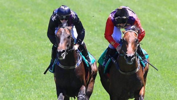 Strengthening the ranks: Carlton House, right, and Fiorente have both been retired to stud in recent months.
