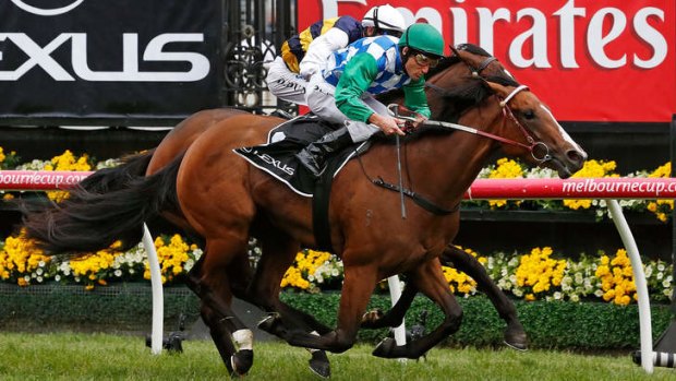 Tough assignment: Jockey Damien Oliver controversially was allowed to ride in last year's Melbourne Cup Day.