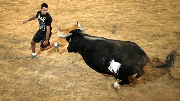 Most feared: Raton the bull in action.