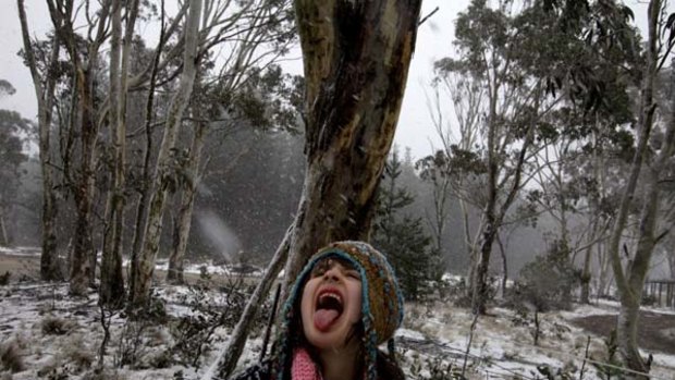 Helen Richardson, 5, of Liverpool, experiences snow for the first time, at Mount Trickett, near Jenolan Caves.