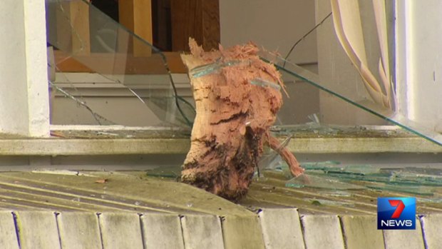 Damage from a tree that "exploded" in Sunnybank after a lightning strike.