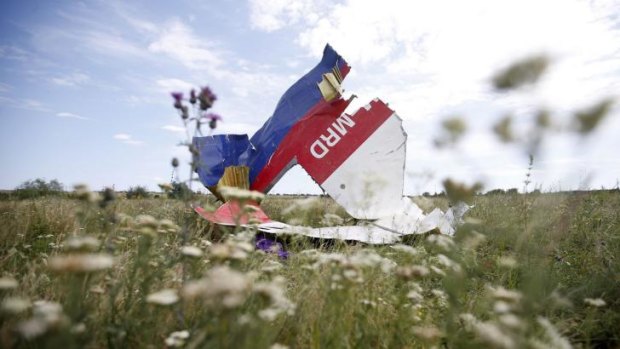 Part of the wreckage of Malaysia Airlines Flight MH17, in a field in the Donetsk region of Ukraine.
