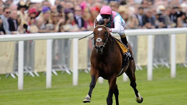 The coast is clear... Tom Queally rides Frankel to victory in The Queen Anne Stakes at Royal Ascot yesterday.