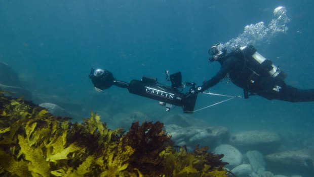 The Catlin Seaview Survey 360 degree underwater camera system in action off the Sydney coastline.