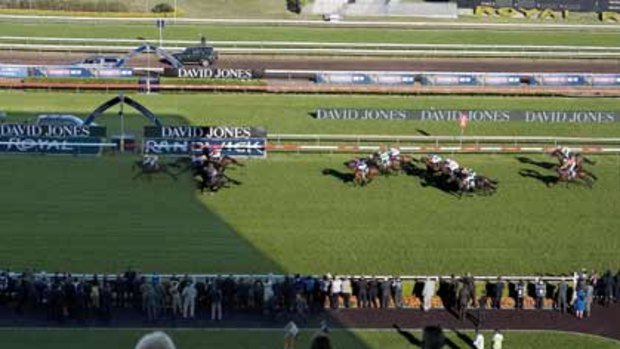 Perfect timing  ... Shoot Out and jockey Stathi Katsidis cross the line to win yesterday’s AJC Australian Derby at Royal Randwick. Katsidis weaved his way through the field to snare the group1.