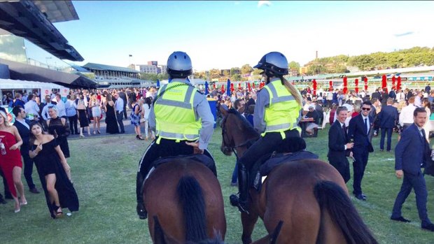 The Australian Turf Club at Randwick has introduced an equine mounted division of former racehorses.