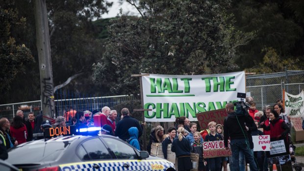 Protesters outside Beaumaris Secondary College last year were angered at plans to lop trees.