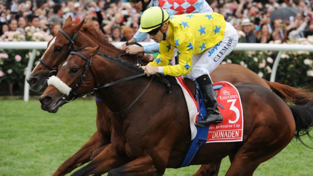 Melbourne Cup winner 2011 ... Dunaden was ridden to victory by Christophe Lemaire.