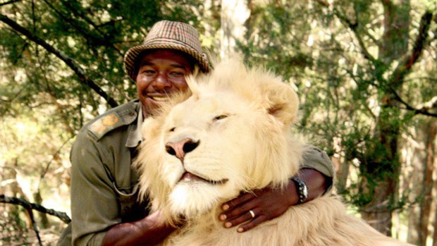 Zion Wildlife Gardens senior big cat handler Dalu MnCube, one of several big cat handlers at the park in Whangarei.