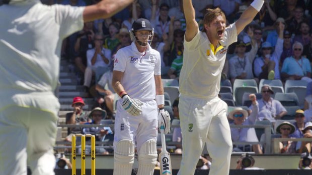 Shane Watson (R) appeals for the wicket of England batsman Joe Root.