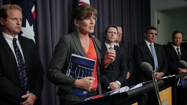 Damaging message &#8230; the Minister for Sport, Kate Lundy, answers questions during a joint press conference on organised crime and drugs in sport on Thursday.