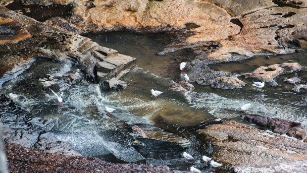 Four million litres a day of untreated sewage continues to be released into the sea from cliffs between Bondi Beach and South Head.