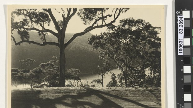 Olive Cotton
The patterned road 1938
gelatin silver photograph
National Gallery of Australia, Canberra
Purchased 1983
gelatin silver photograph
National Gallery of Australia, Canberra
 Purchased 2012