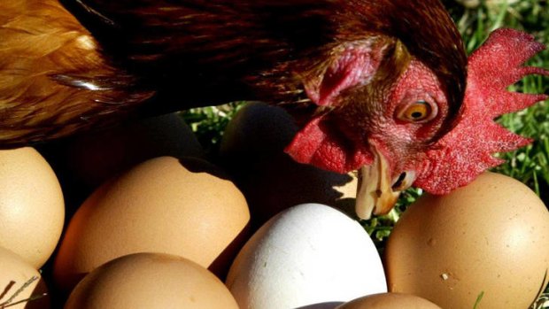 Consumers want clear and accurating labelling of eggs, the competition watchdog says.