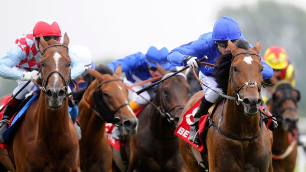 Cup bid: Royal Empire wins the Geoffrey Freer Stakes at Newbury and is Melbourne-bound.