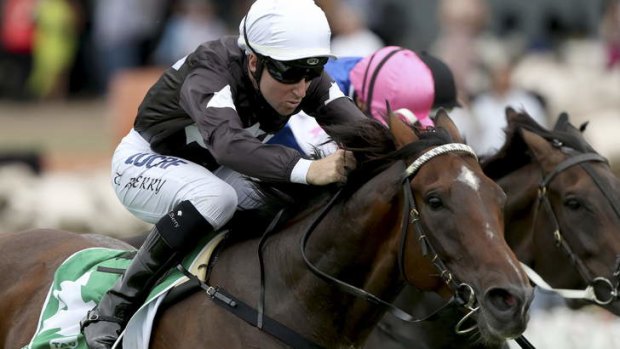 Easy ride: Tommy Berry steers Ecuador to victory.