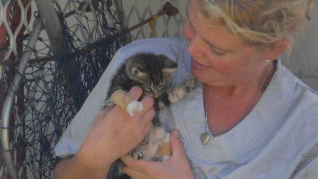 The kitten was named Aussie after he survived being thrown out of a moving car on Australia Day.