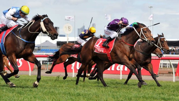 Boban could be aimed at next year's Cox Plate.