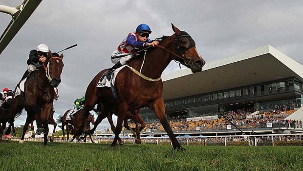 Class act: Streama, ridden by Blake Shinn, races away with the Doomben Cup.