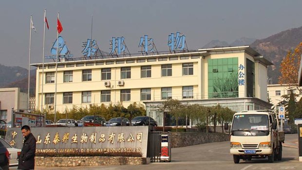 Dr Du's production headquarters at the foot of Mount Tai, Shandong Province.