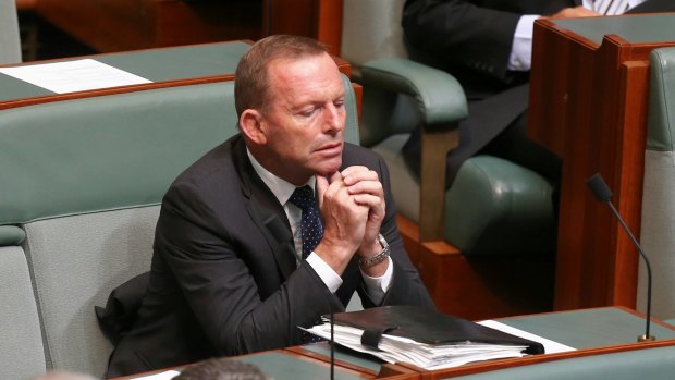 Former Prime Minister Tony Abbott was unprepared for Turnbull to take the prime ministership.