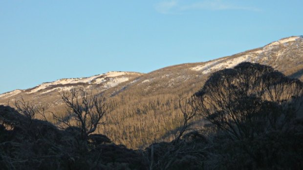 Snowcapped mountains as viewed from the Lake Crackenback segway track