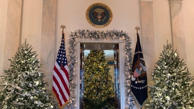 It's time to put up the Christmas tree ... Donald Trump has already had the Blue Room decorated in the White House.