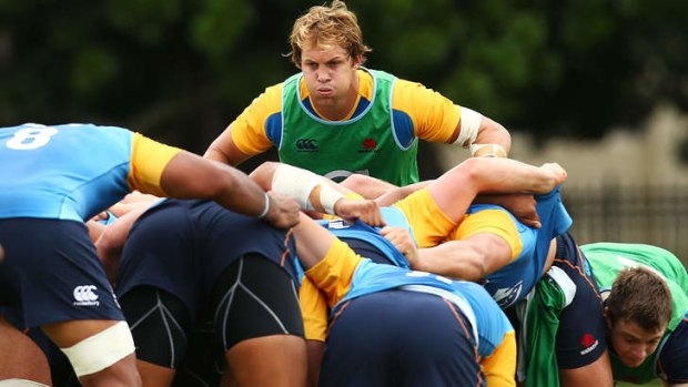 Comeback: Stephen Hoiles at a Waratahs training session.