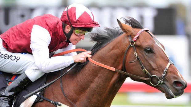 Kerrin McEvoy is hoping to become the eighth jockey to win the Melbourne Cup, Caulfield Cup, Cox Plate and Golden Slipper aboard Happy Trails in Saturday's Cox Plate.