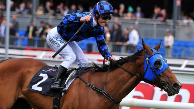 Compact and tough: Doomben 10,000 hopeful Buffering.