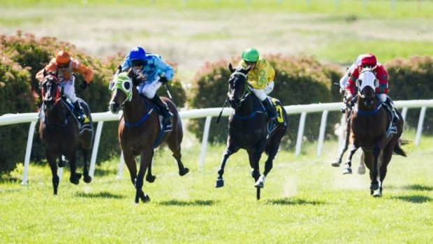 That's Freedom, second from left, rides away to victory at Queanbeyan on Monday.