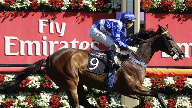 Ironstein, ridden by Brenton Avdulla, cruises to victory in the Queen Elizabeth Stakes.