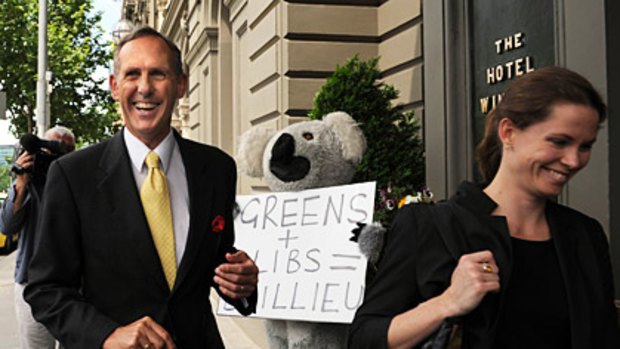 Greens leader Bob Brown, hounded by an inner-city koala who is suspected of voting for Labor.