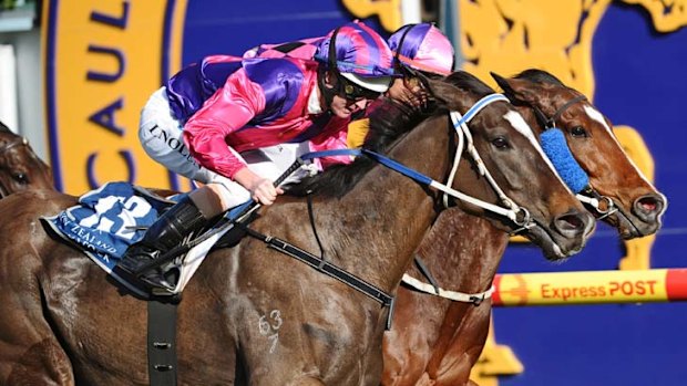 Moody mare rises to the Memsie Stakes challenge