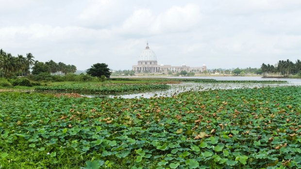 Yamoussoukro, Cote d'Ivoire.