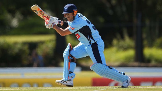 Finding form: David Warner bats for NSW  during the Ryobi Cup match against Tasmania at Bankstown Oval late last month.