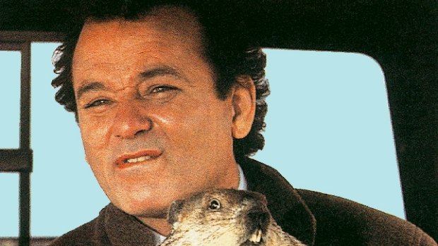 ''Groundhog Day and its inherent absurdity also serve as a reminder to me and my colleagues of why we do what we do.''