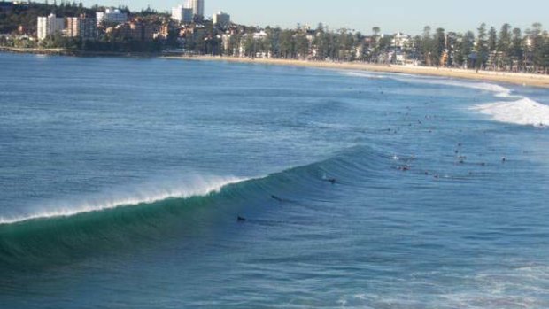 The surf at Manly this morning.