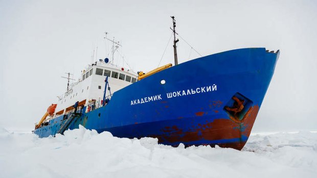 The Akademik Shokalskiy, trapped in the ice.