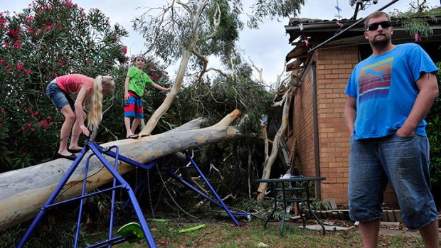(l-r) Shaelagh, 10, and Bailey Sutherland, 8 and dogs Asher and Monty and father Greg Sutherland with the tree that was pushed over by destructive storms in Holder.
