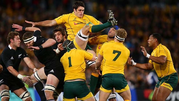 Rising high: Wallaby Dave Dennis jumps in the lineout in the Bledisloe Cup match last night. Otherwise it was a low night for the Wallabies.